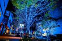 Tokyo's Exclusive Christmas Illumination is Back!