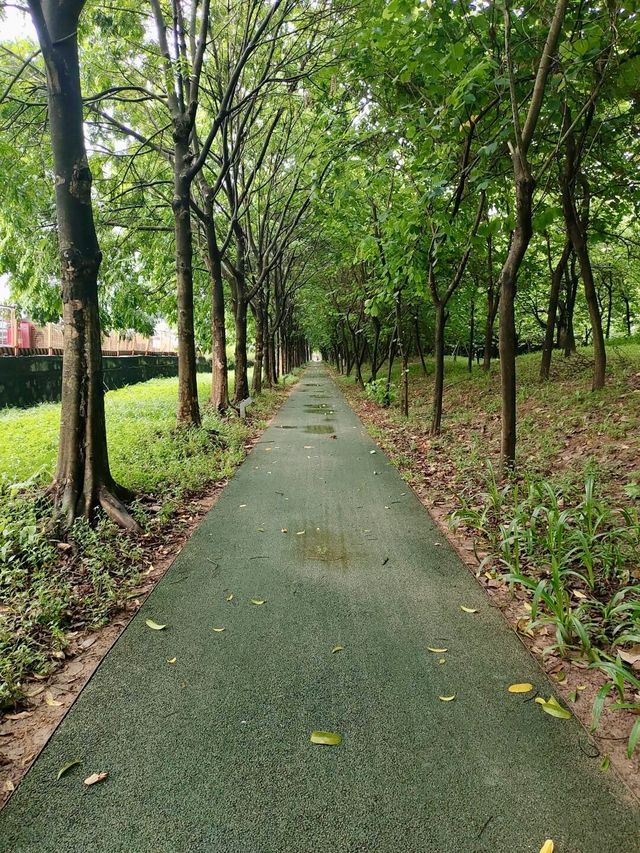 廣州天河區大觀濕地公園|宛如童話世界的入口。