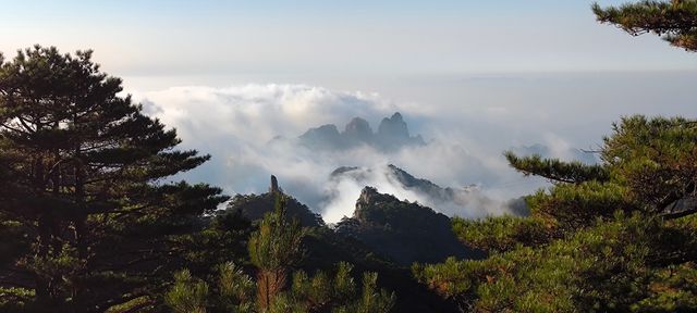 周末黃山遊