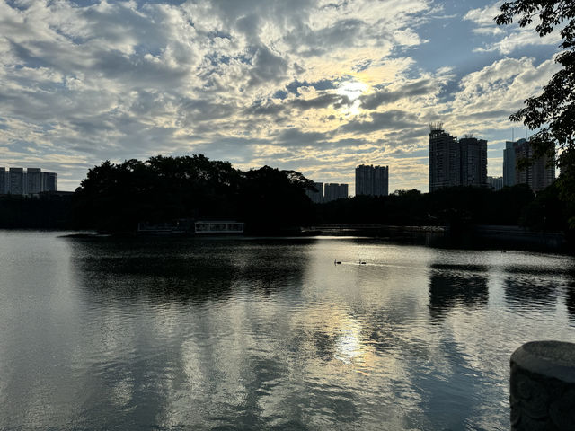 藏在城市裡的綠洲公園——東山湖公園