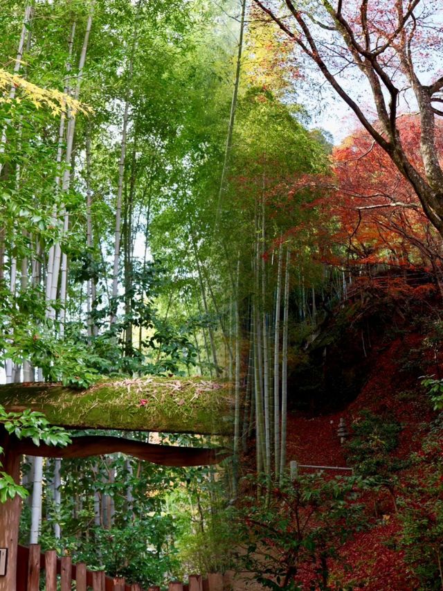 京都嵐山常寂光寺｜