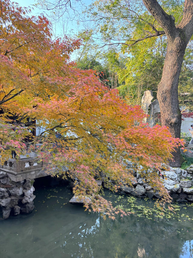 古韻悠悠的蘇州怡園