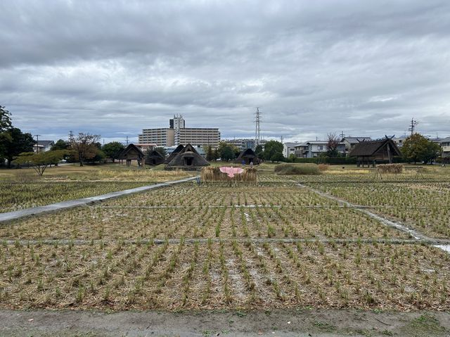 【静岡】教科書に載ってた場所！登呂遺跡をご紹介