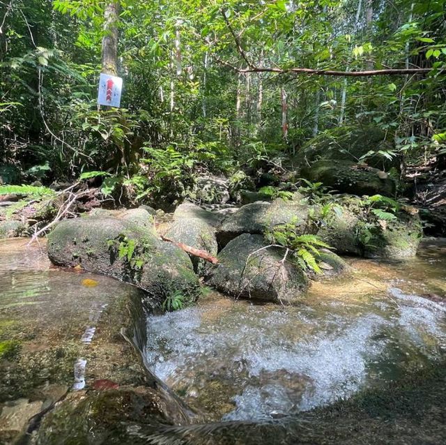 Mount Ledang