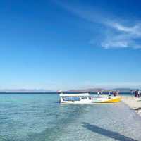 TAKA KOMODO ISLAND