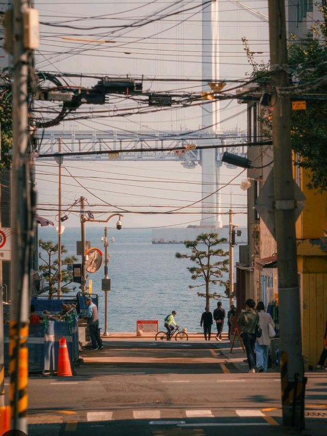 Explore the Vibrant City of Busan 🇰🇷🌊