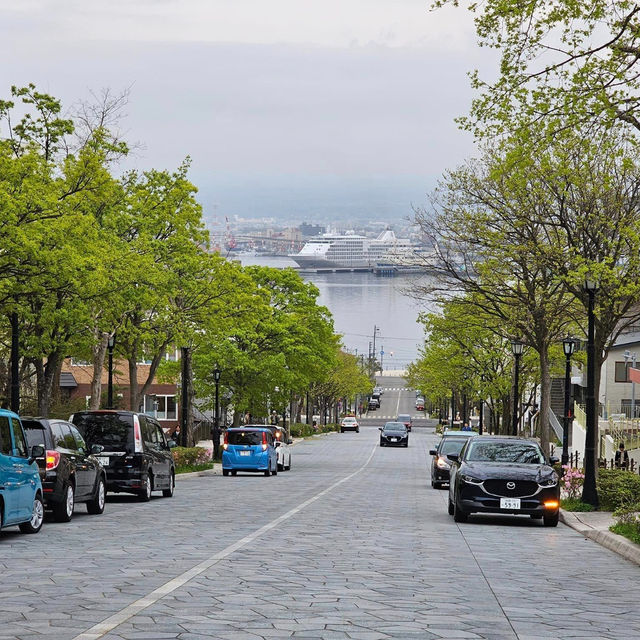 Unveiling Hokkaido's Spring Splendor