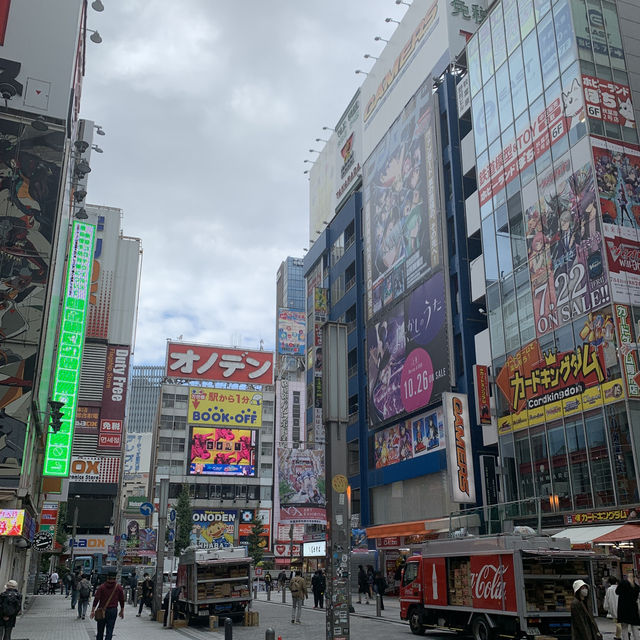 Tokyo Vibes: The Ultimate City Adventure