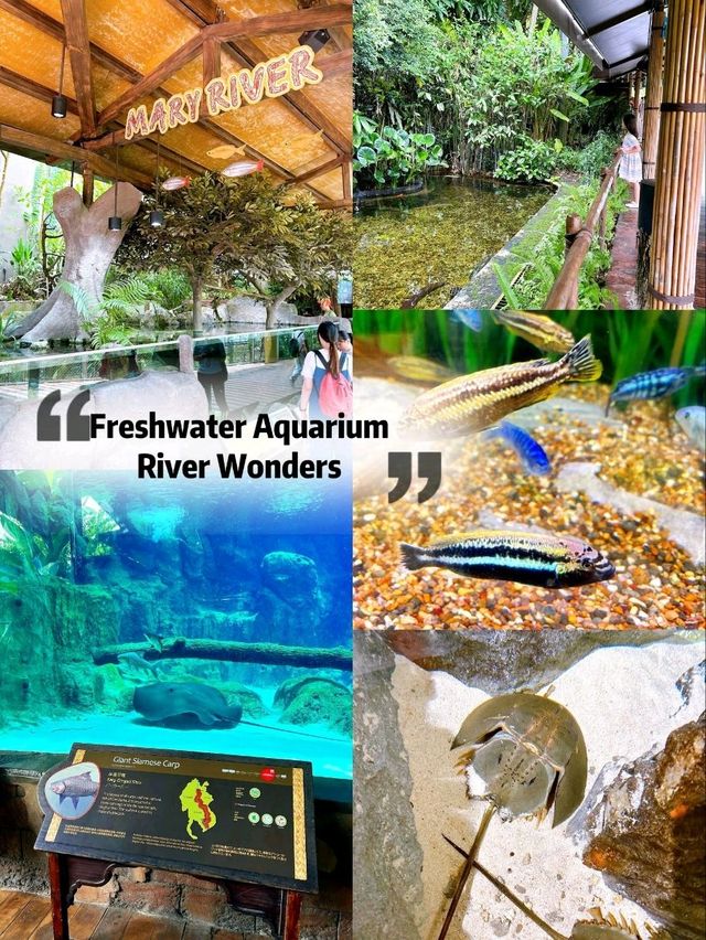 Freshwater Aquarium in River Wonders Singapore