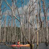 Kayaking at Hinze Dam