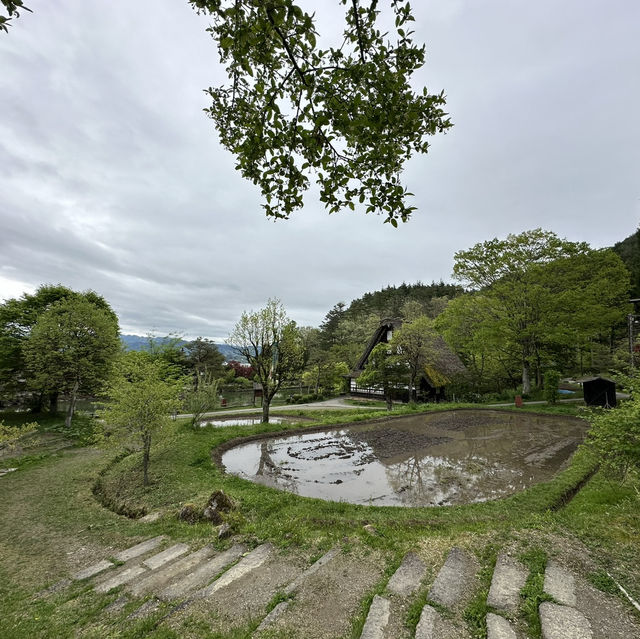 ทาคายาม่า(Takayama) 