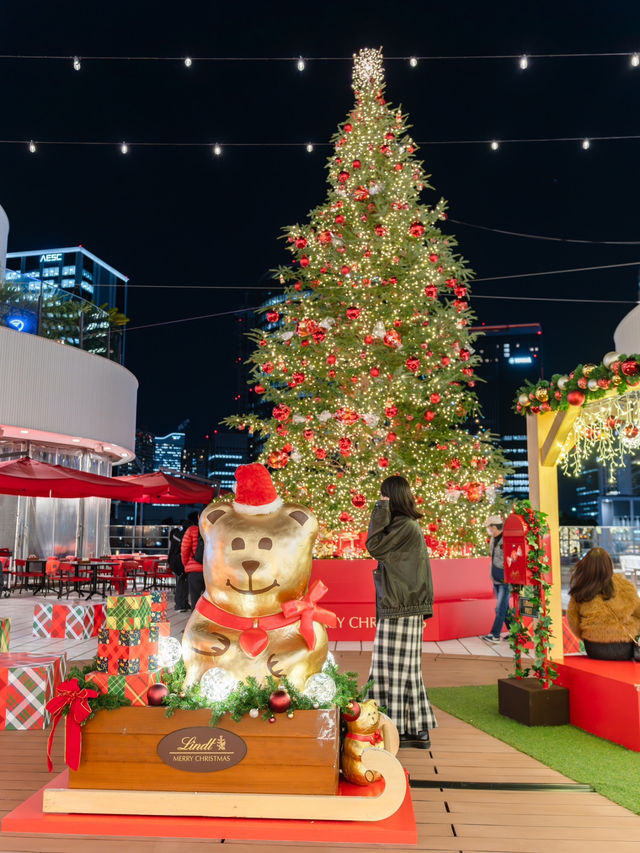 【神奈川県/横浜】リンツテディと煌めくクリスマスツリー🎄