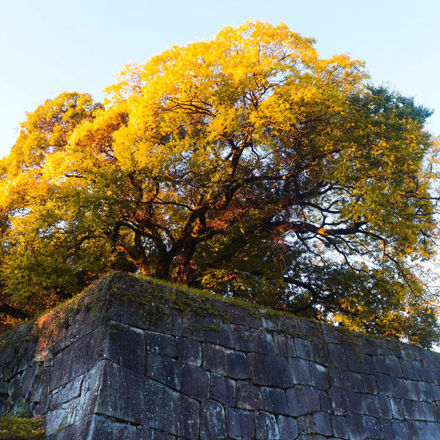 Nagoya Castle