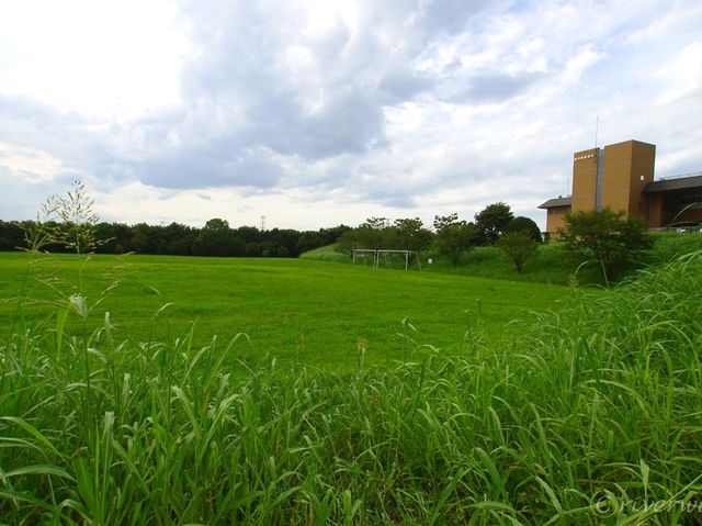 【埼玉県】洪水の守護神で絶景地下神殿！「首都圏外郭放水路」