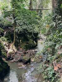 Enchanting Outdoor Adventure at Sangeh Monkey Forest