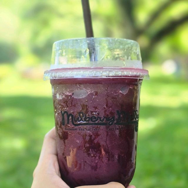 Mulberry Mellow คาเฟ่สุดกรีน🌳🌳ในกาญจนบุรี