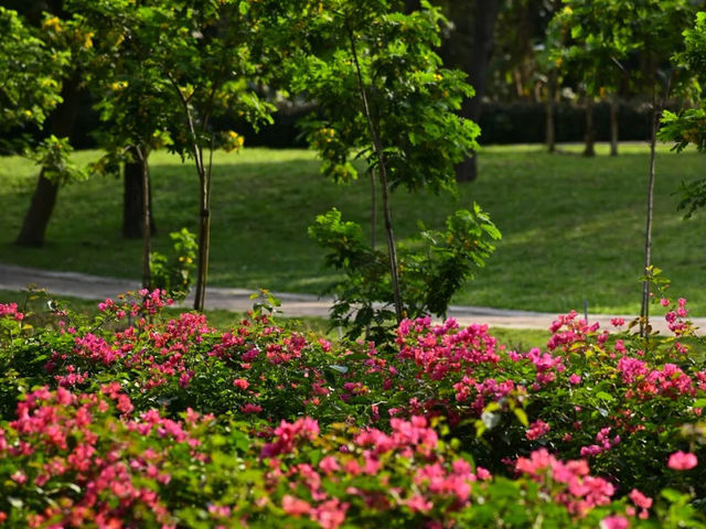  珠海梅華城市公園——都市中的寧靜綠洲