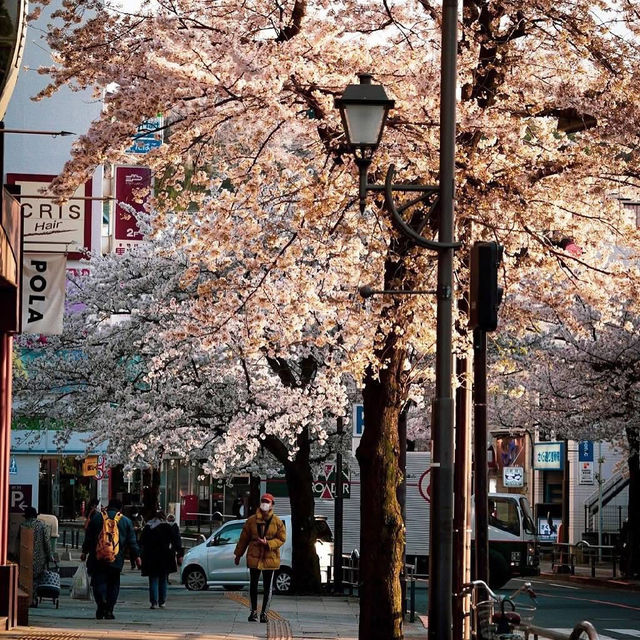 Rainy days in Tokyo, Japan 