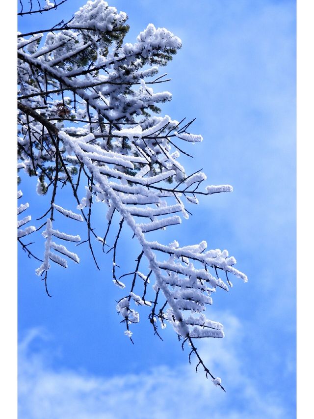 冬季旅雪|轿子雪山一日遊攻略，速度