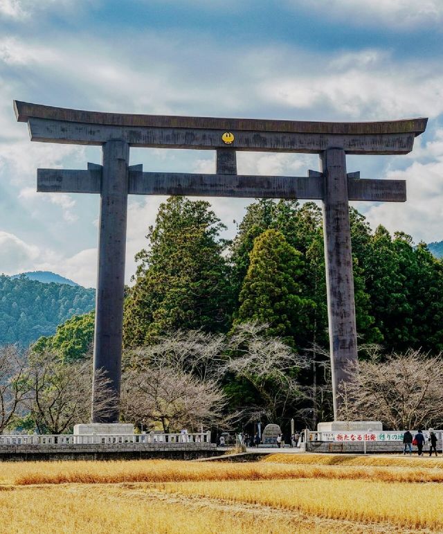 探索熊野秘境三大神社打卡攻略