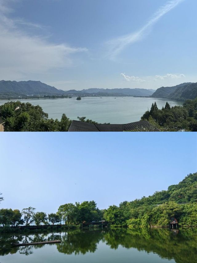 富春芳草地|住進百畝依山傍水的天然林地裡