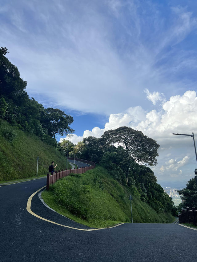 廣州｜ 黃埔油麻山森林公園。