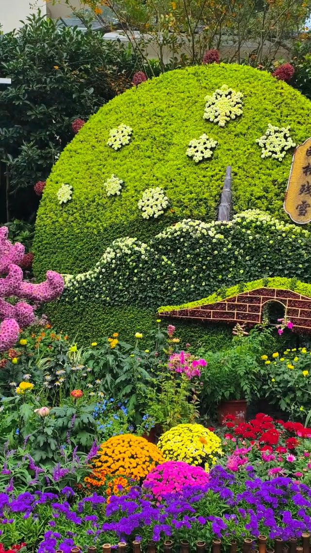 《探秘杭州植物園：大自然的寶藏之地》。