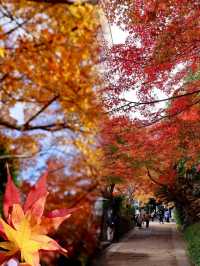 京都嵐山常寂光寺｜