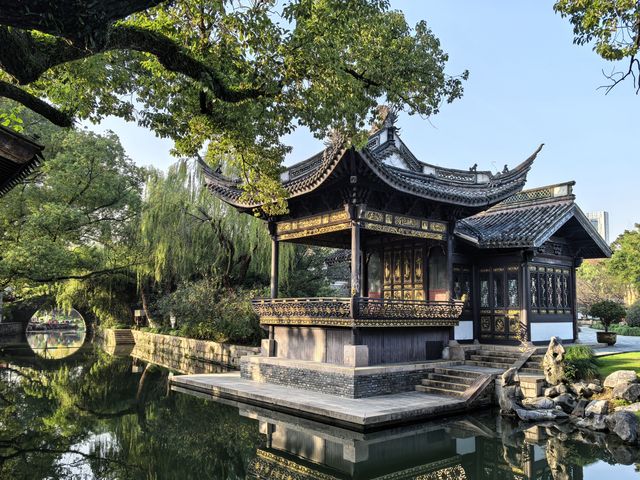 月湖公園的早晨丨穿越四季的江南園林