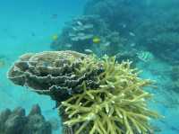 Pulau Tioman Salang Beach