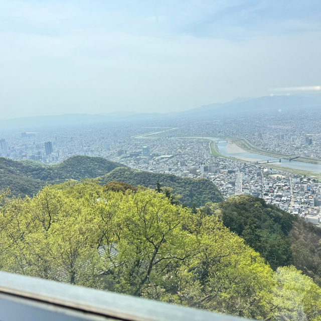 岐阜縣岐阜城半日遊｜松鼠館、金華登山纜車、美食午餐