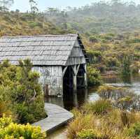 Cradle Mountain's Majestic Allure