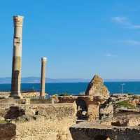 Unveiling Ancient Splendor: Les Ruines de Carthage