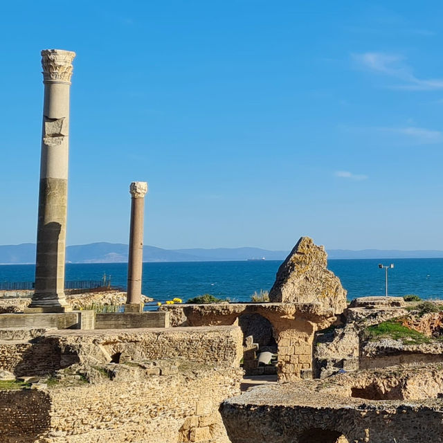 Unveiling Ancient Splendor: Les Ruines de Carthage