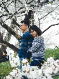 My Couple Trip in Japan, and Also Pre-Wedding Photo Trip