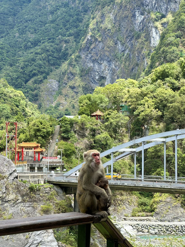 Cliffs, Caves, and Connections: A Solo Traveler’s Journey Through Hualien