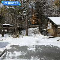 賞楓途中遇到雪！白雪覆蓋的夢幻蔦溫泉