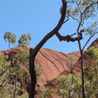 Experience the Majestic Uluṟu-Kata Tjuṯa National Park