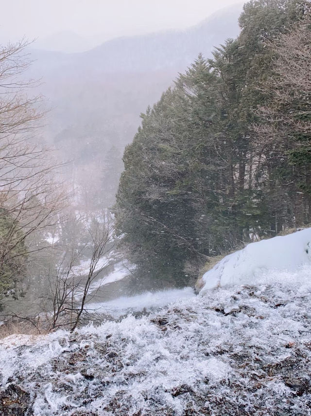 【栃木/日光】冬の奥日光で雪見温泉を堪能♨ 