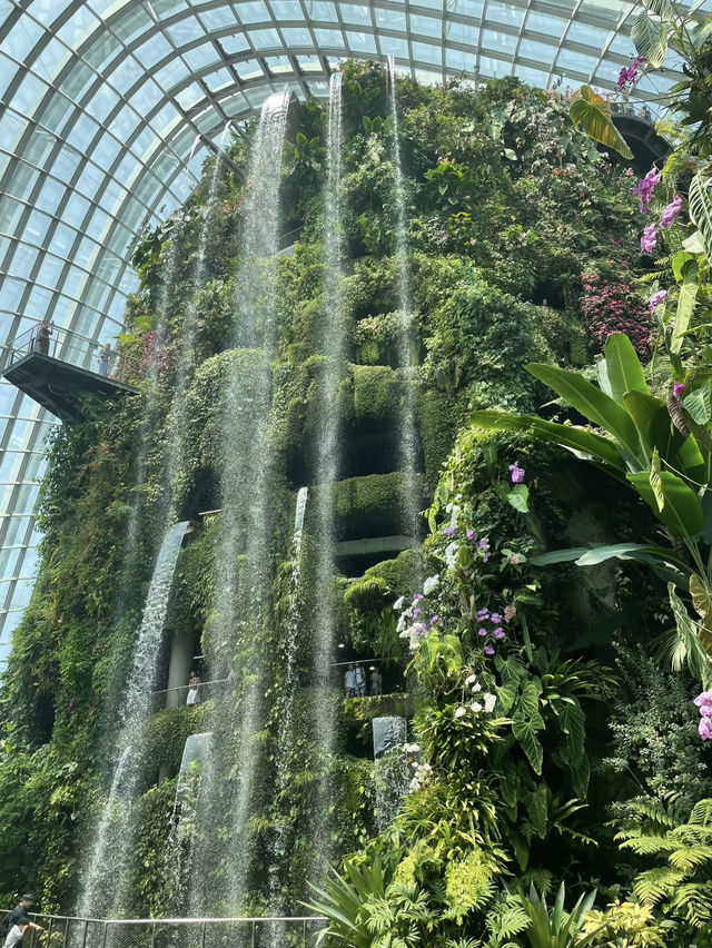 A Mystical Escape at Singapore’s Cloud Forest