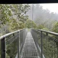 Great Otway national park 🎄