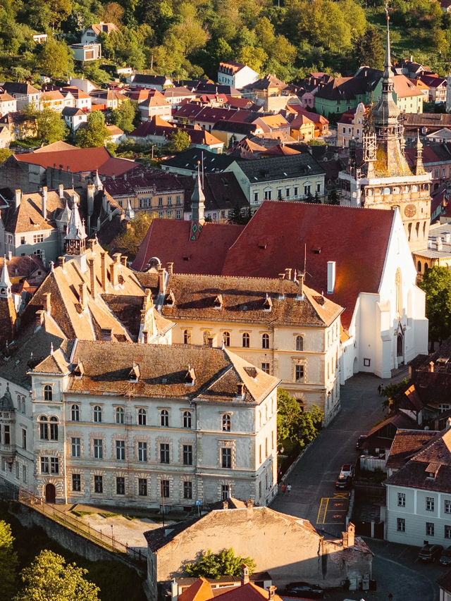 Trip to Timisoara, Romania 🇷🇴