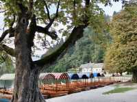 Serenity at Sunset: A Stroll Around Lake Bled