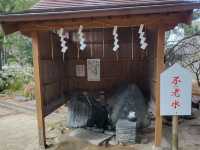 《探索神聖與寧靜之地——鳥飼八幡宮的神秘與美麗》