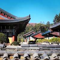 The Korea Buddhist Temple