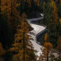 Swiss National Park