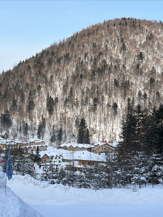 沒約上哈爾濱冰雪大世界，這些地方也不錯！