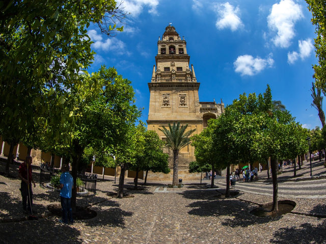 The Streets of Beautiful Cordoba!