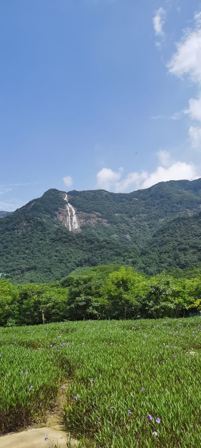 廣州增城區白水寨風景名勝區紅色教育基地。