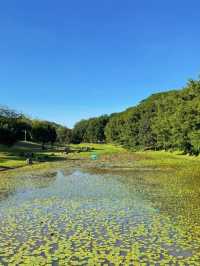 不是歐洲，來東莞一定要去松山湖啊